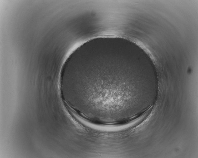 X0000095541469200712211337