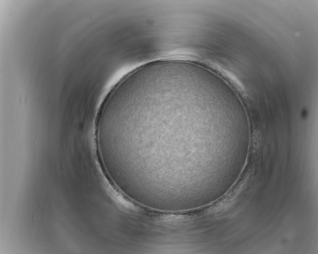 X0000095541470200712211337