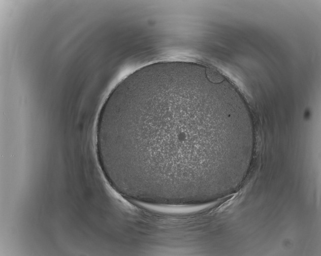 X0000095541471200712211337