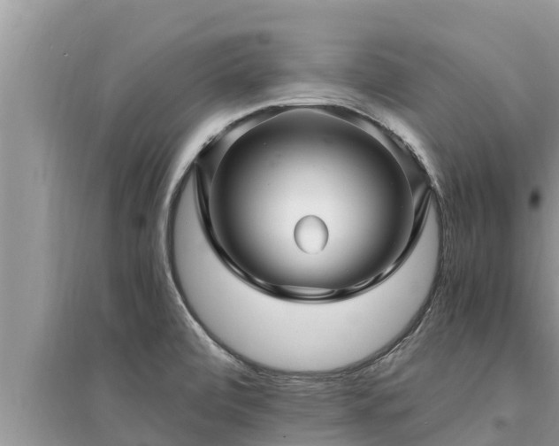 X0000095541472200712211337