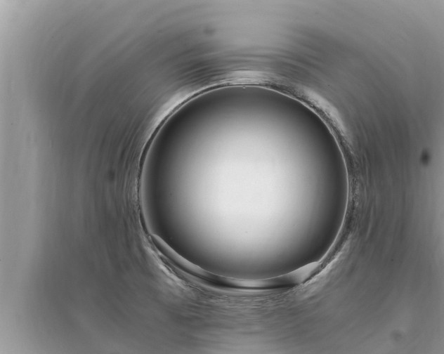 X0000095541473200712211337