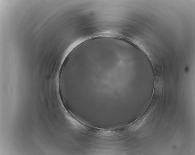 X0000095541474200712211337