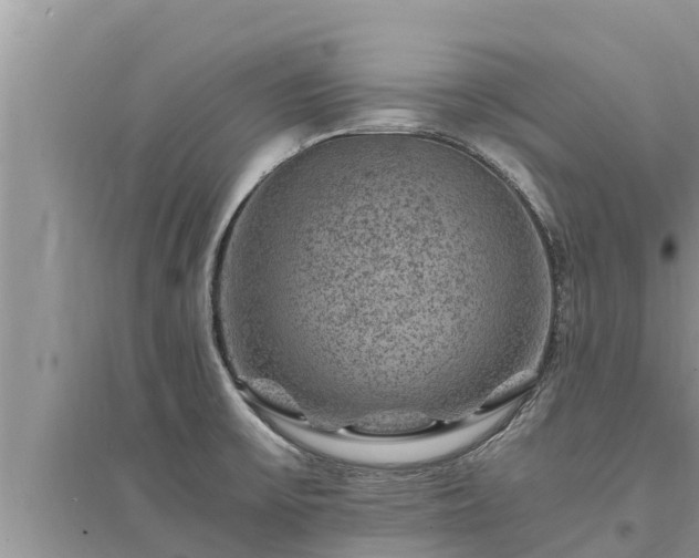 X0000095541475200712211337