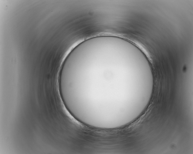 X0000095541476200712211337