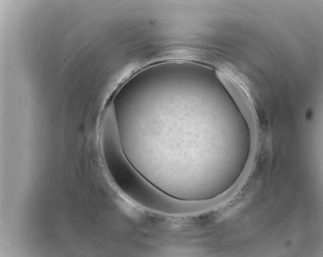 X0000095541477200712211337