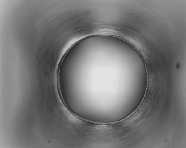 X0000095541478200712211337