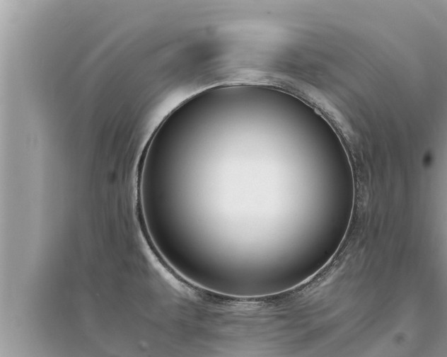 X0000095541479200712211337