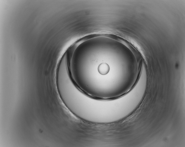 X0000095541480200712211337