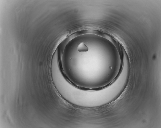 X0000095541481200712211337