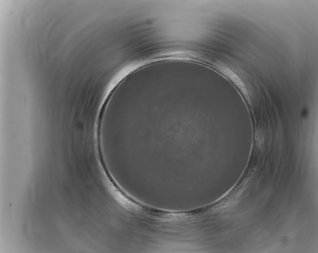 X0000095541482200712211337