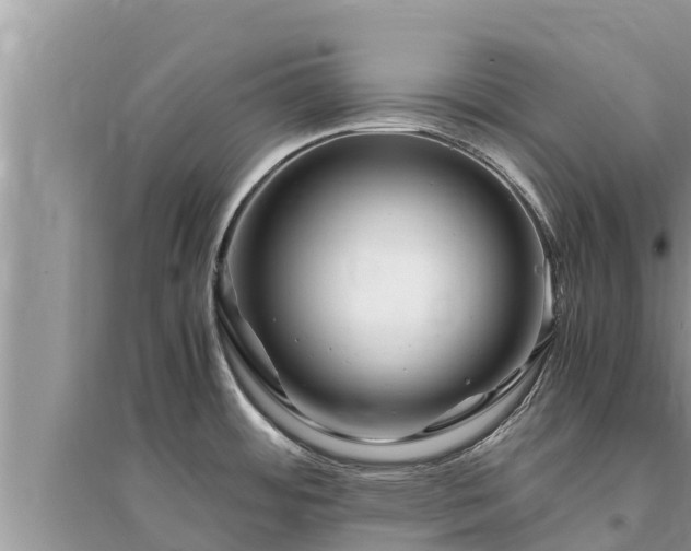 X0000095541484200712211337