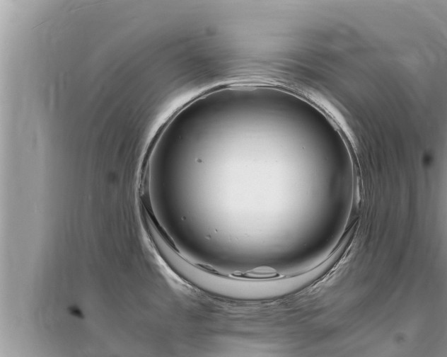 X0000095541485200712211336