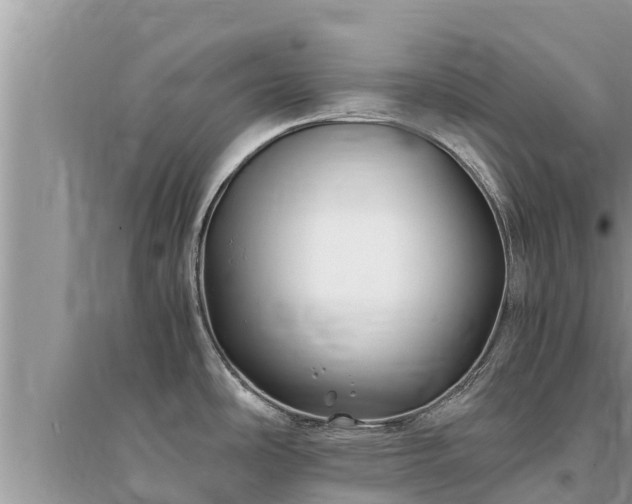 X0000095541486200712211336