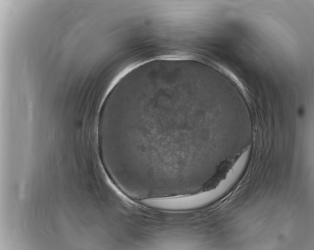 X0000095541487200712211336