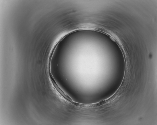 X0000095541488200712211336