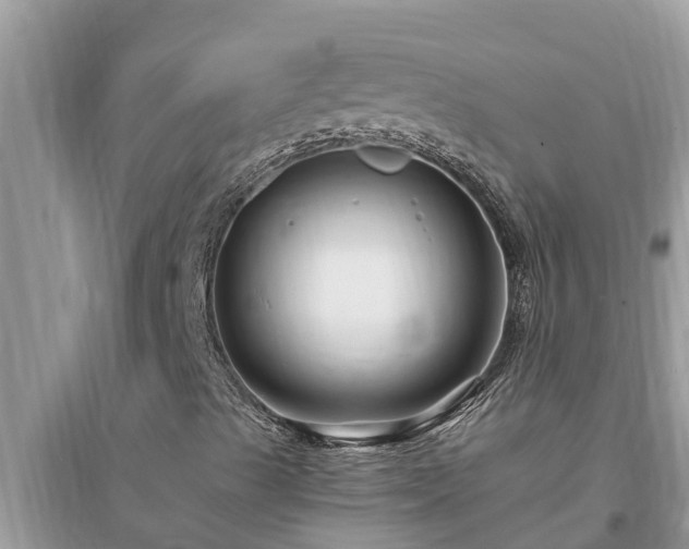 X0000095541489200712211336