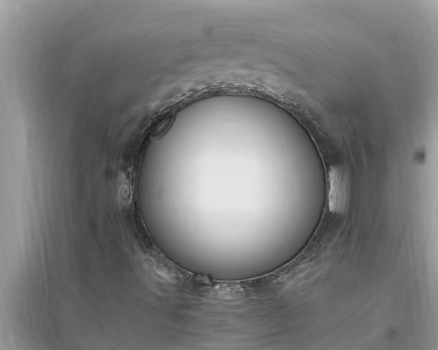 X0000095541491200712211336