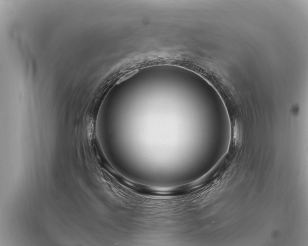 X0000095541492200712211336