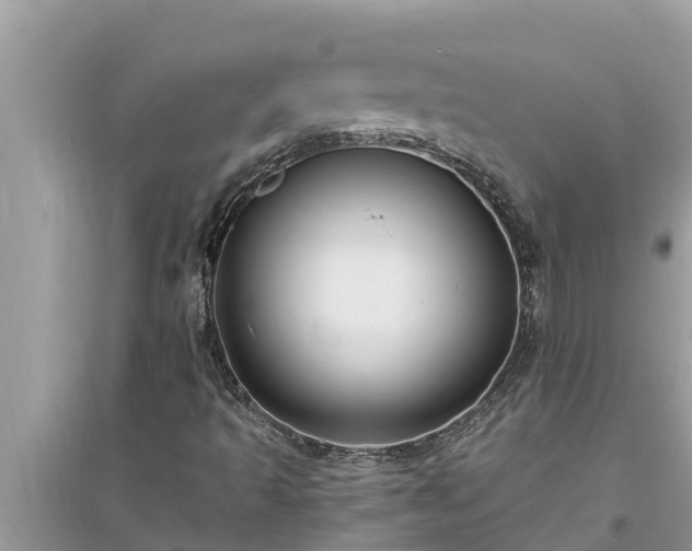 X0000095541493200712211336