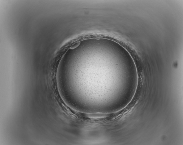 X0000095541494200712211336