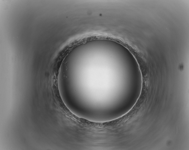 X0000095541495200712211336