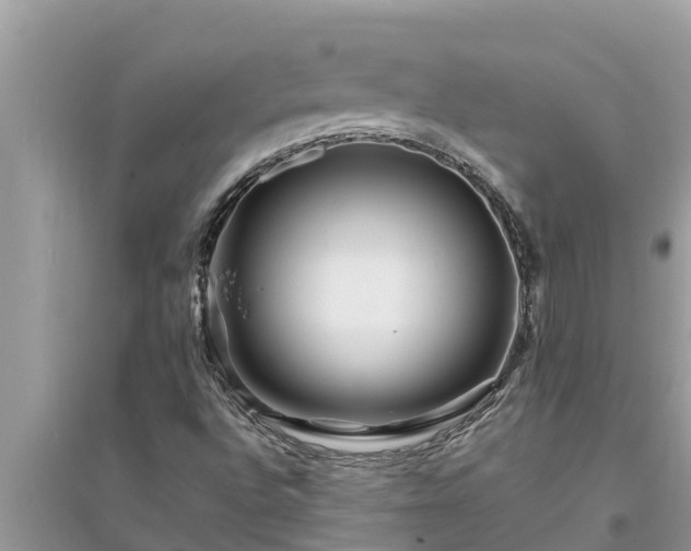 X0000095541496200712211336