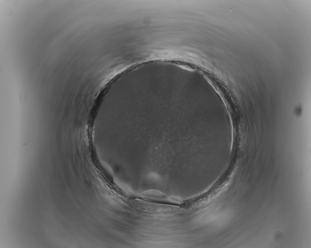 X0000095541497200712211336