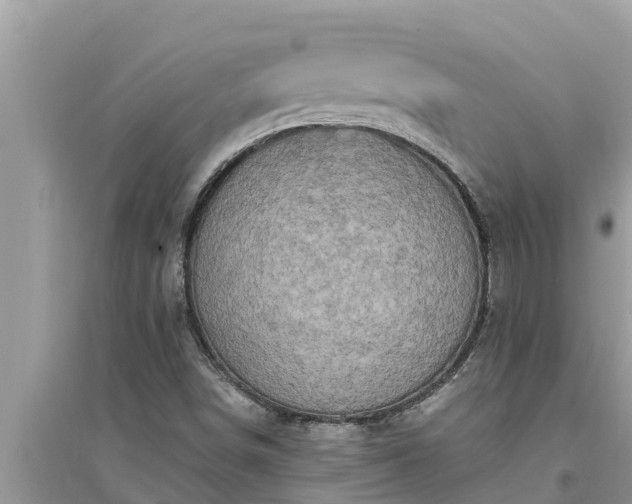 X0000095541498200712211336