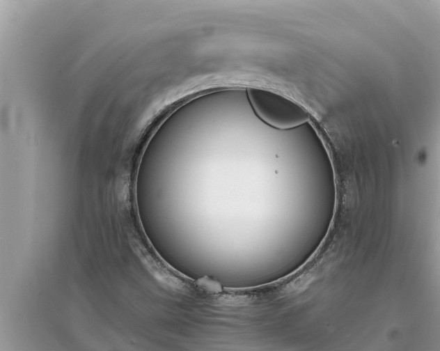 X0000095541499200712211336