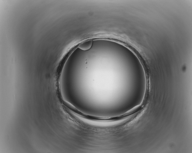 X0000095541501200712211336