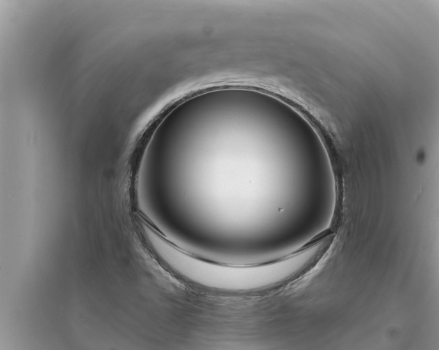 X0000095541502200712211336