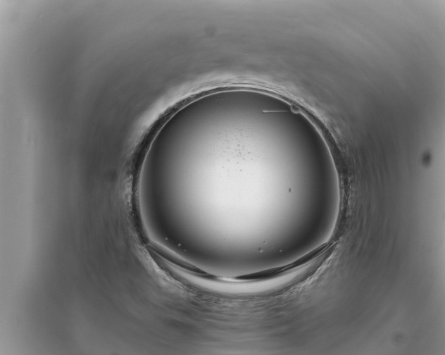 X0000095541503200712211336