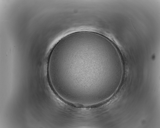 X0000095541504200712211336