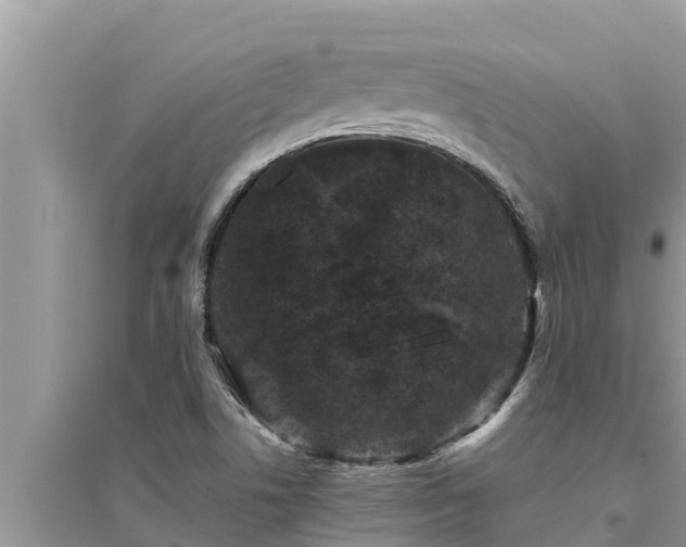 X0000095541506200712211336