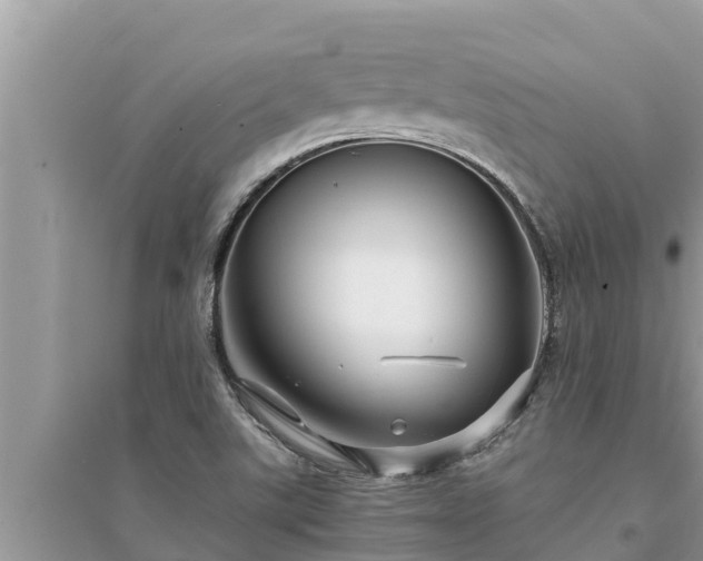 X0000095541507200712211336