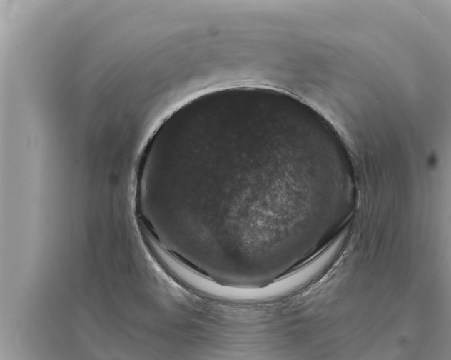 X0000095541508200712211336