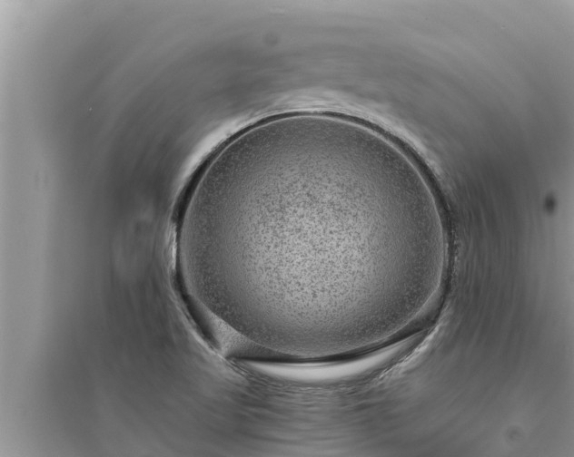 X0000095541509200712211336