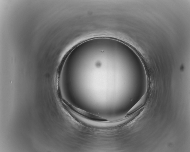 X0000095541510200712211336