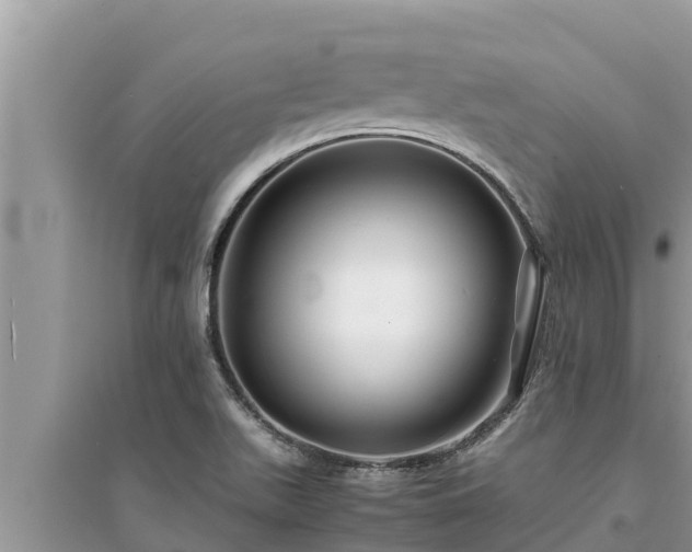 X0000095541511200712211336