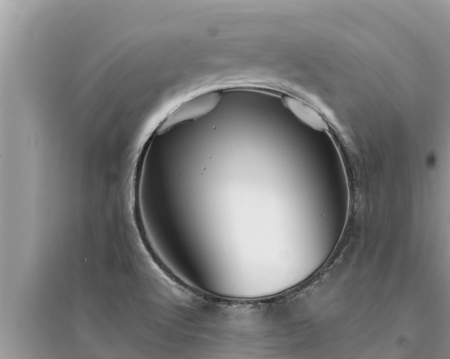 X0000095541512200712211336