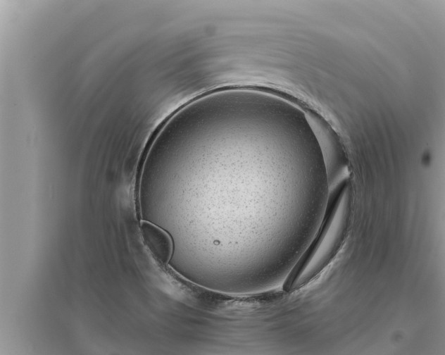 X0000095541513200712211336