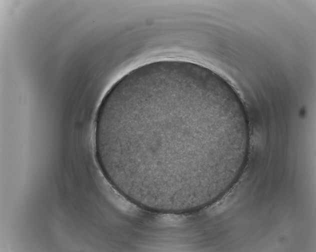 X0000095541514200712211336