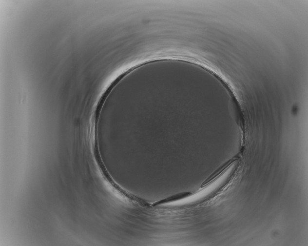 X0000095541515200712211336