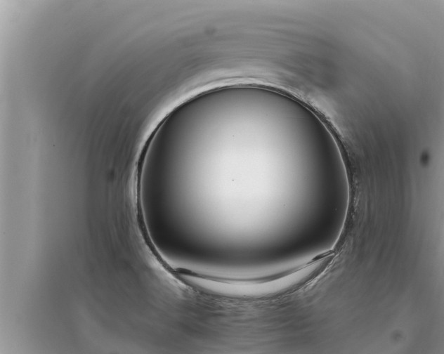 X0000095541516200712211336