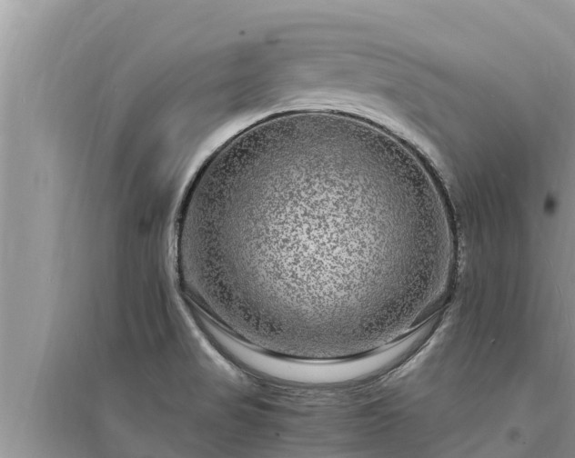 X0000095541517200712211336
