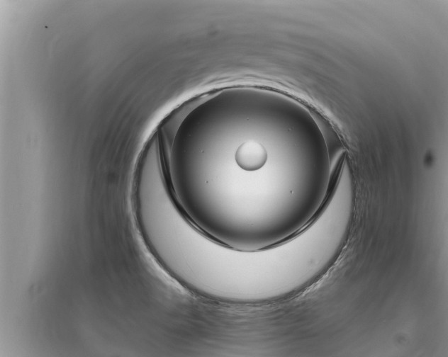 X0000095541518200712211336