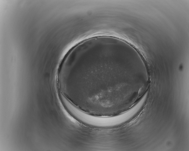 X0000095541519200712211336