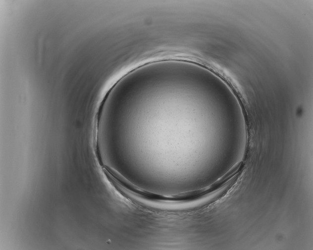 X0000095541520200712211336