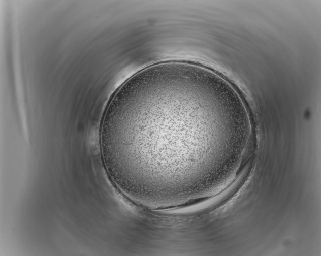 X0000095541521200712211336