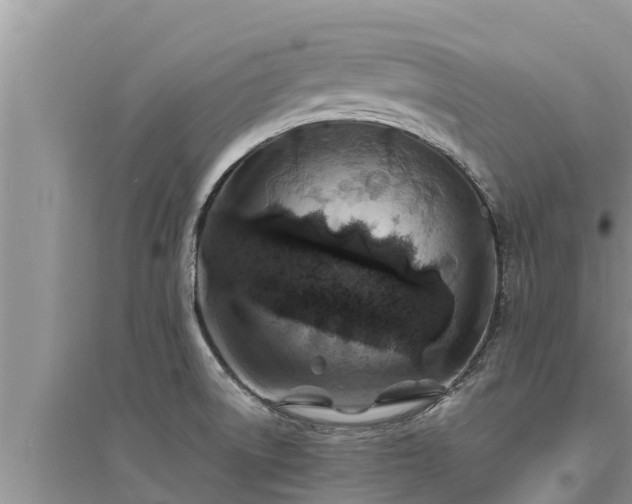 X0000095541522200712211336